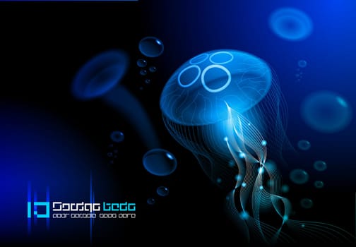 Jellyfish at the black background. Vector illustration EPS 10