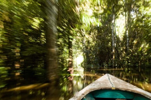 Canoe with motion blur paddling up a river
