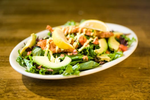 Avocado chicken salad served on a plate