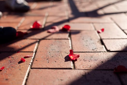Rose petals on the ground during a wedding