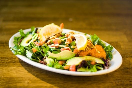 Avocado chicken salad served on a plate