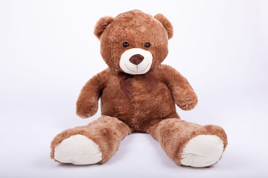 Seated teddy bear , over a white background