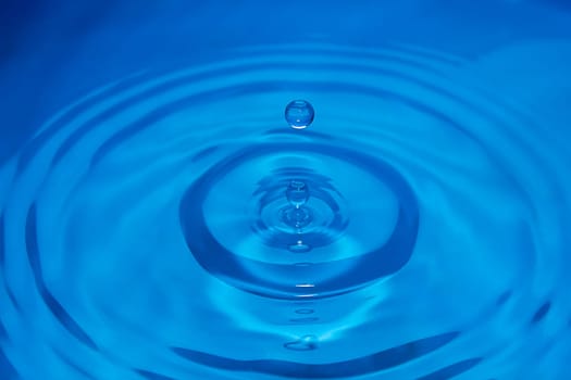 Water drop making a ripple on the surface