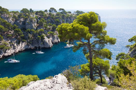 Calanques of Port Pin in Cassis  in France