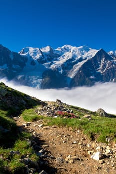 A beautiful view of the french alps