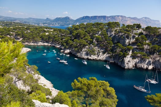 Calanques of Port Pin in Cassis  in France