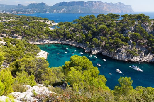 Calanques of Port Pin in Cassis  in France