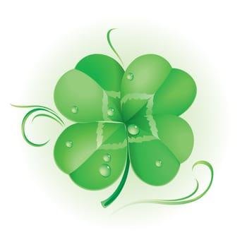 Irish shamrock for St Patrick&#039 s Day