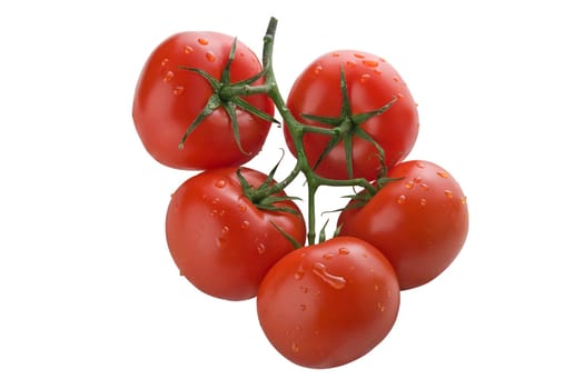 Bunch of tomatoes on white background
