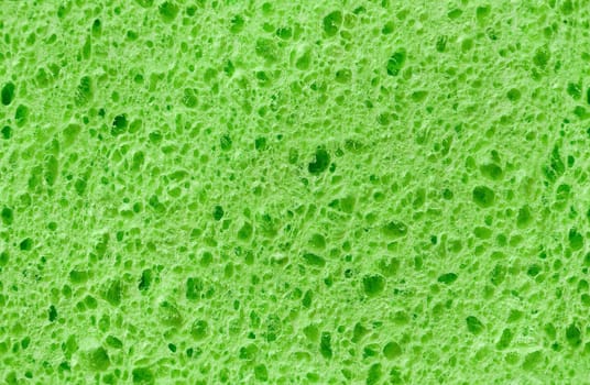 Green texture cellulose foam sponge. Background.