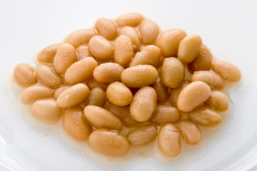 Canned white beans on background