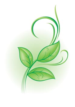 Beautiful green plant with dew drops and vector