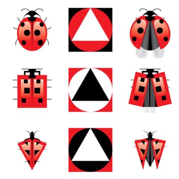 Conceptual Evolution of Ladybug. Illustration.