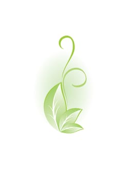 Green plant. Illustration for design.