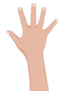 Woman hand. Vector illustration on white background.