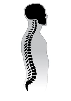 Human Spine. Black and white vector illustration.
