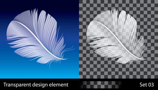 Feather, vector illustration with transparent effect.  EPS (10) file included.