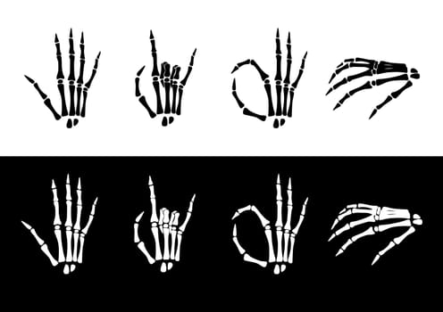 Set of hand anatomy. Vector illustration black and white