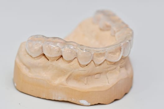 Teeth