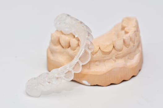 Teeth