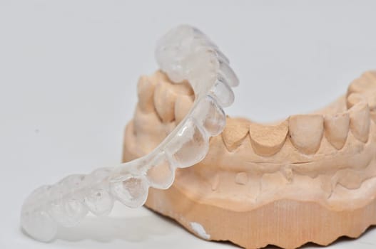 Teeth