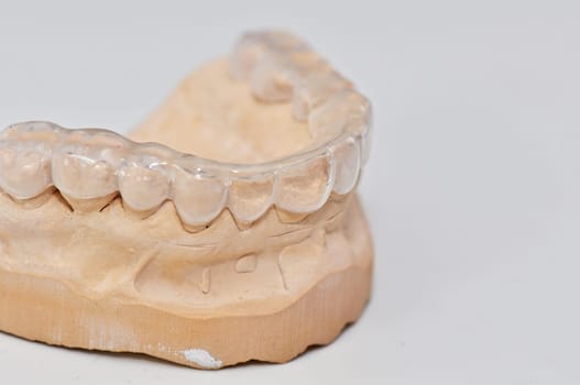 Teeth