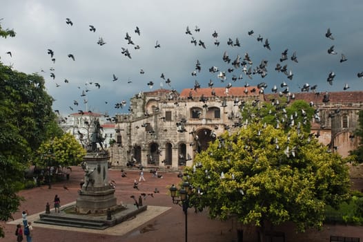 Doves flying over the main square in Santo Domingo, Dominican Republic