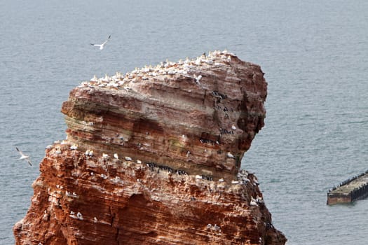 The Lange Anna (Helgoland)