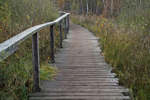 Plank path through the Hiller Moor