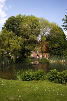 Village pond in Sonneborn