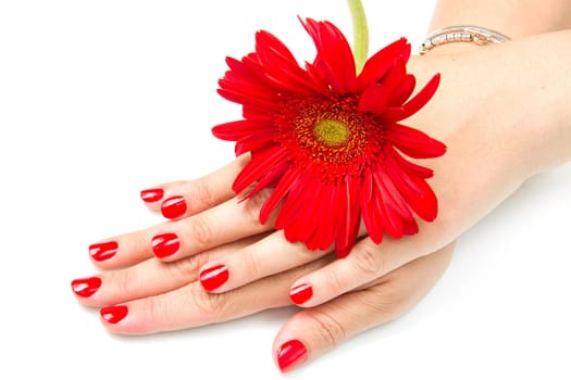 Woman hands with red manicure and red flower