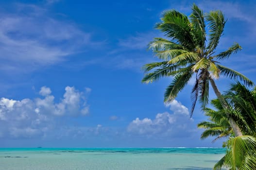 Vanilla Island Taha'a