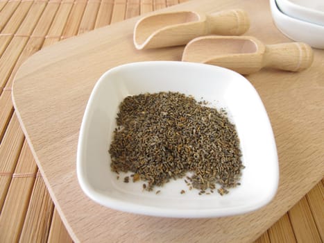 Ammi-visnaga- fruits,Ammeos visnagae fructus