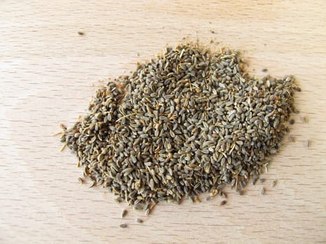 Ammi-visnaga- fruits,Ammeos visnagae fructus