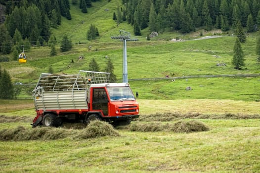 The crop of hay fodder in the mountains