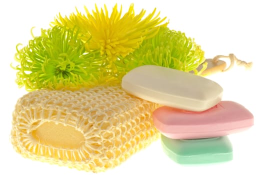 cleaning products of the body on a white background