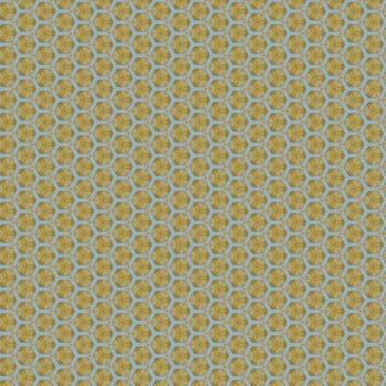 the vintage shabby background with classy patterns