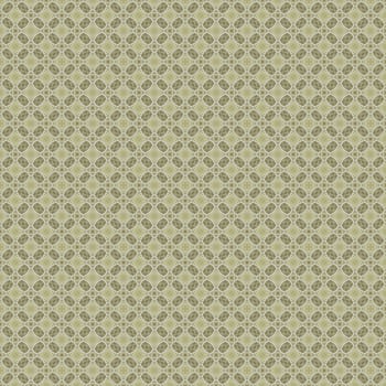 the vintage shabby background with classy patterns