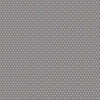 the vintage shabby background with classy patterns