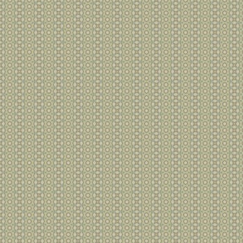 the vintage shabby background with classy patterns