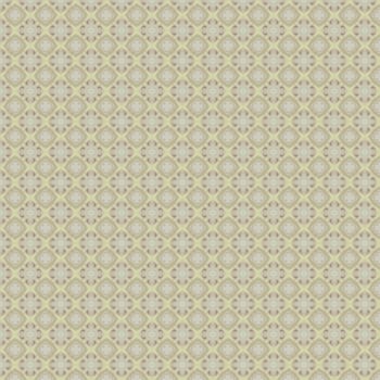 the vintage shabby background with classy patterns