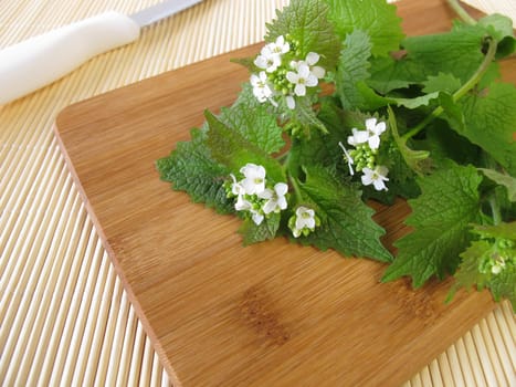 Wild Vegetable Garlic Mustard