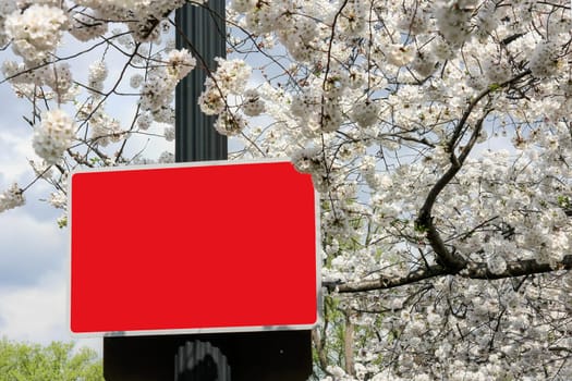 Red sign to label in front of cherry blossoms