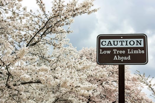 Sign warning of hanging branches