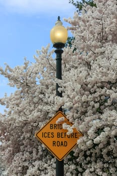 Sign bridge iced up in front of road