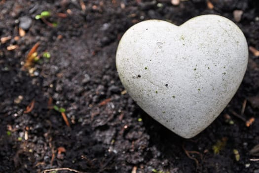 Stone Heart