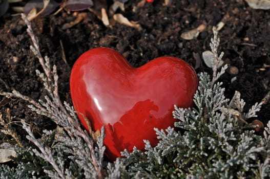 Stone Heart