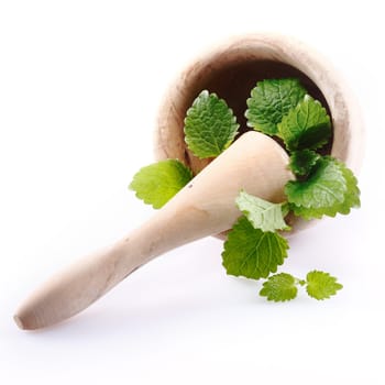 Mint in a mortar with pestle isolated on white background, for my Drink and Cocktail concepts