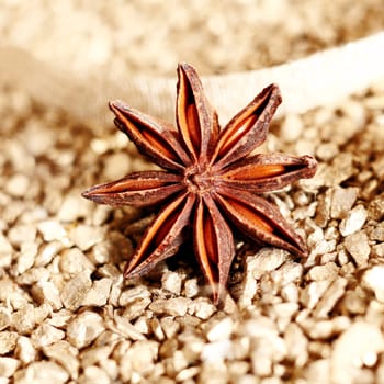 Decorative dried star anise seed, a spice used in cooking for its liquorice flavour