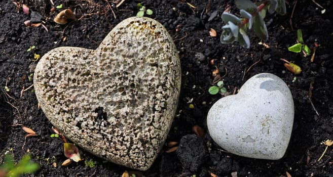 Stone Heart